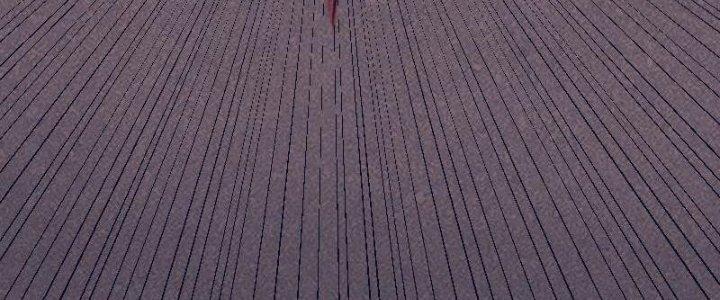 Trường Sinh Đạo Chapter 109 - Trang 2