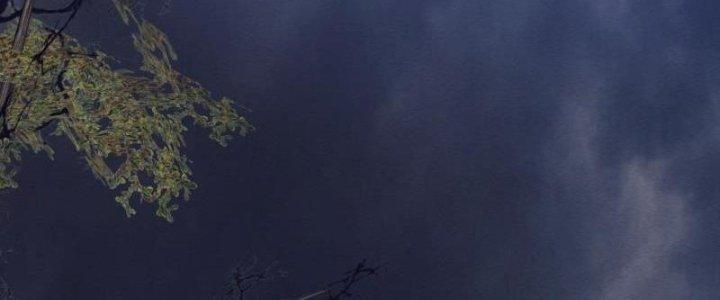 Trường Sinh Đạo Chapter 110 - Trang 2