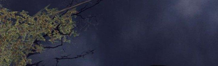 Trường Sinh Đạo Chapter 110 - Trang 2