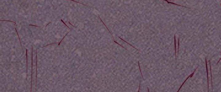 Trường Sinh Đạo Chapter 110 - Trang 2