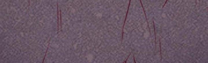 Trường Sinh Đạo Chapter 110 - Trang 2