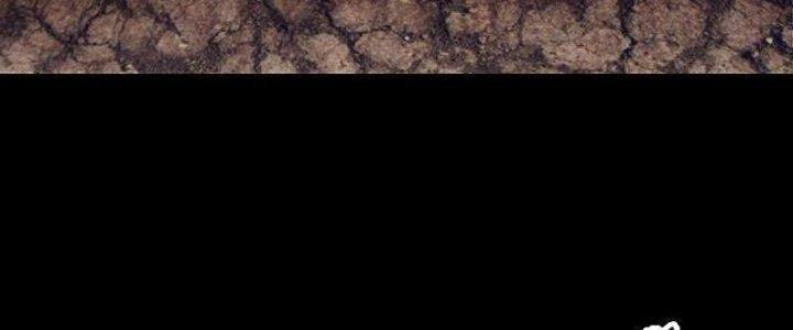 Trường Sinh Đạo Chapter 110 - Trang 2