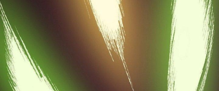 Tinh Lao Chapter 13 - Trang 2