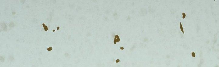 Tinh Lao Chapter 14 - Trang 2