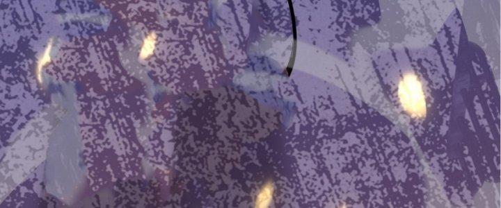 Tinh Lao Chapter 16 - Trang 2