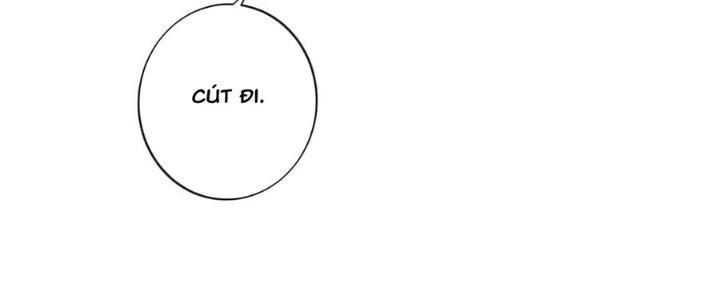 Ta Thật Sự Không Phải Thiên Mệnh Chi Tử Chapter 19 - Trang 3
