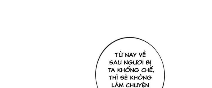 Ta Thật Sự Không Phải Thiên Mệnh Chi Tử Chapter 19 - Trang 3