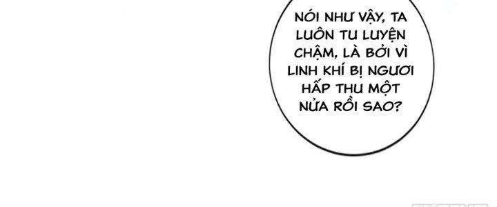 Ta Thật Sự Không Phải Thiên Mệnh Chi Tử Chapter 19 - Trang 3