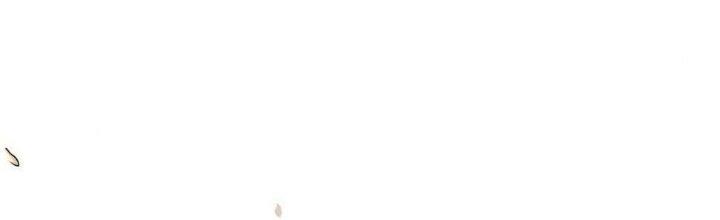 Ta Không Muốn Làm Cứu Thế Chủ Đâu Chapter 10 - Trang 2