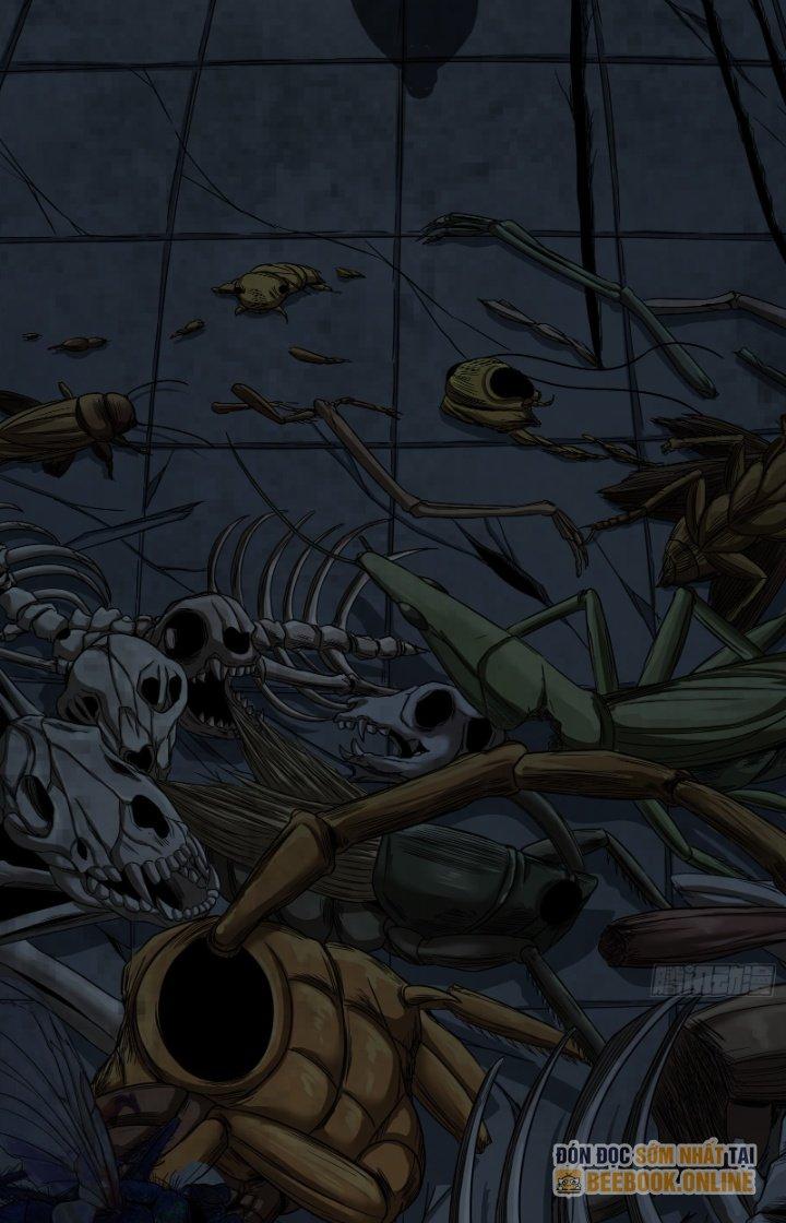 Hắc Dạ Trùng Sinh Chapter 11 - Next Chapter 12
