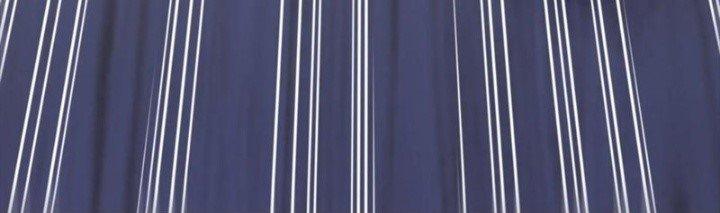 Bỉ Nhân Độc Tìm Đường Chết Chapter 49 - Trang 2