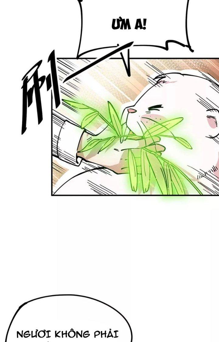 Ta Vô Địch Nhờ Siêu Béo Chapter 43 - Trang 2