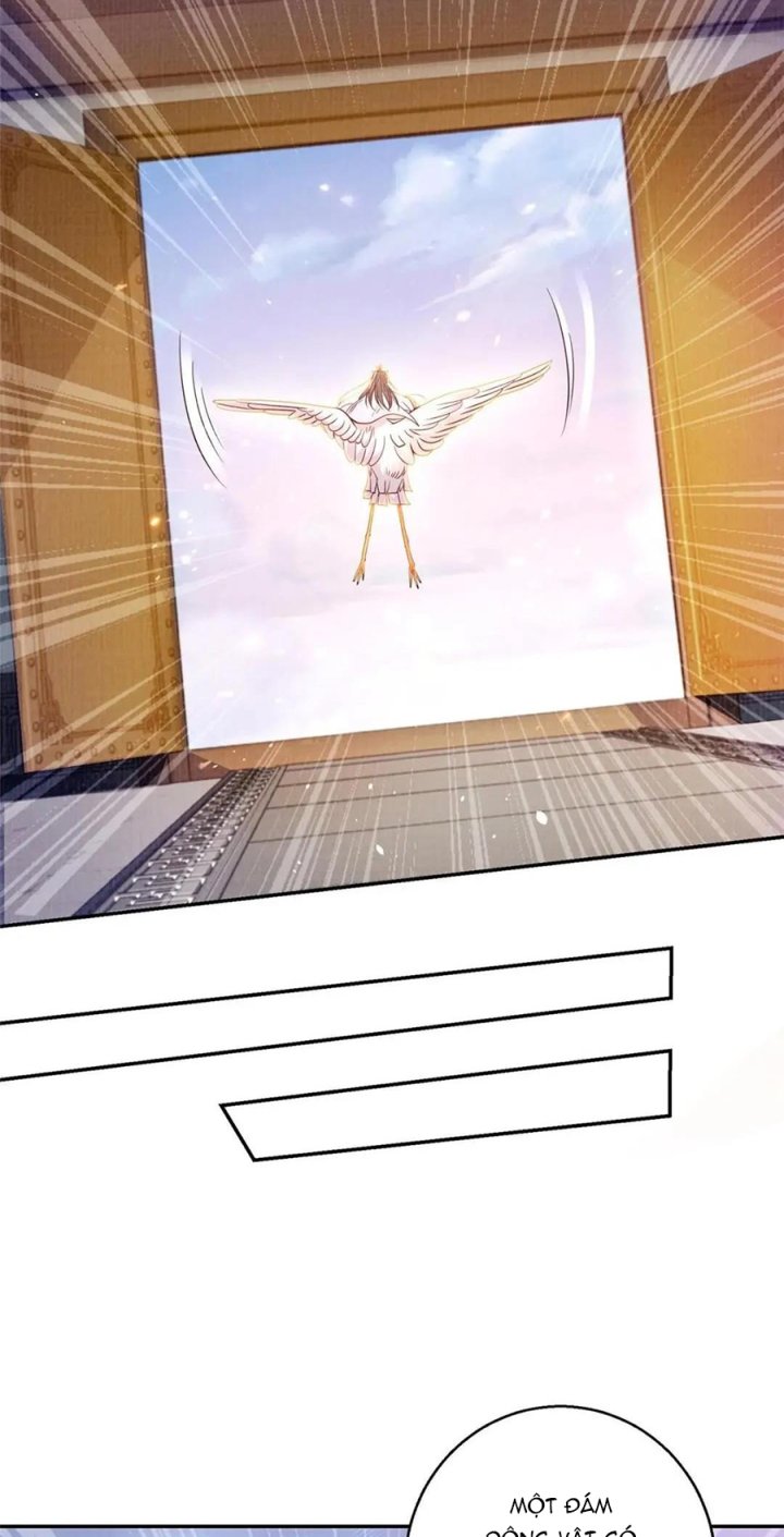 Đại Đạo Tranh Phong Chapter 49 - Trang 4