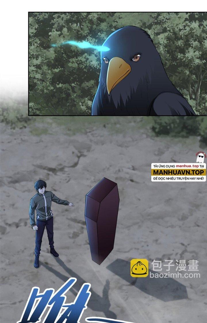 Người Đưa Thư Vô Hạn Chapter 317 - Trang 3