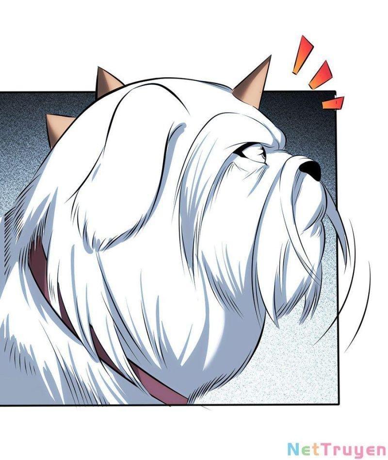 Bị bắt trở thành vô địch Thánh Nữ Chapter 1 - Trang 3