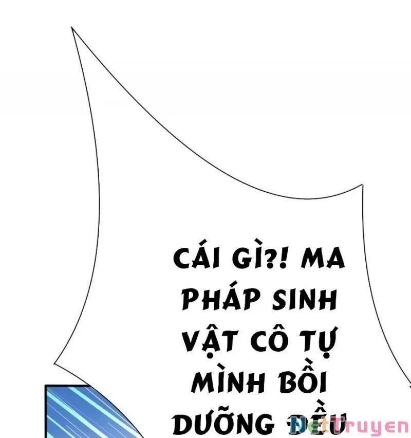 Bị bắt trở thành vô địch Thánh Nữ Chapter 33 - Trang 3