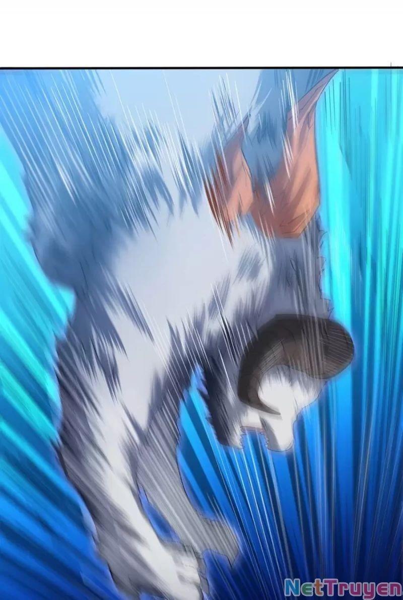 Bị bắt trở thành vô địch Thánh Nữ Chapter 33 - Trang 3