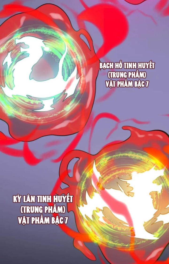 Tử Giới, Thức Tỉnh Tài Năng Hạng Sss Chapter 89 - Trang 2