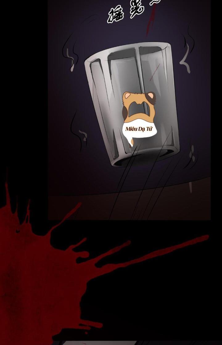 Nữ Livestream Khủng Bố Chapter 13 - Trang 2