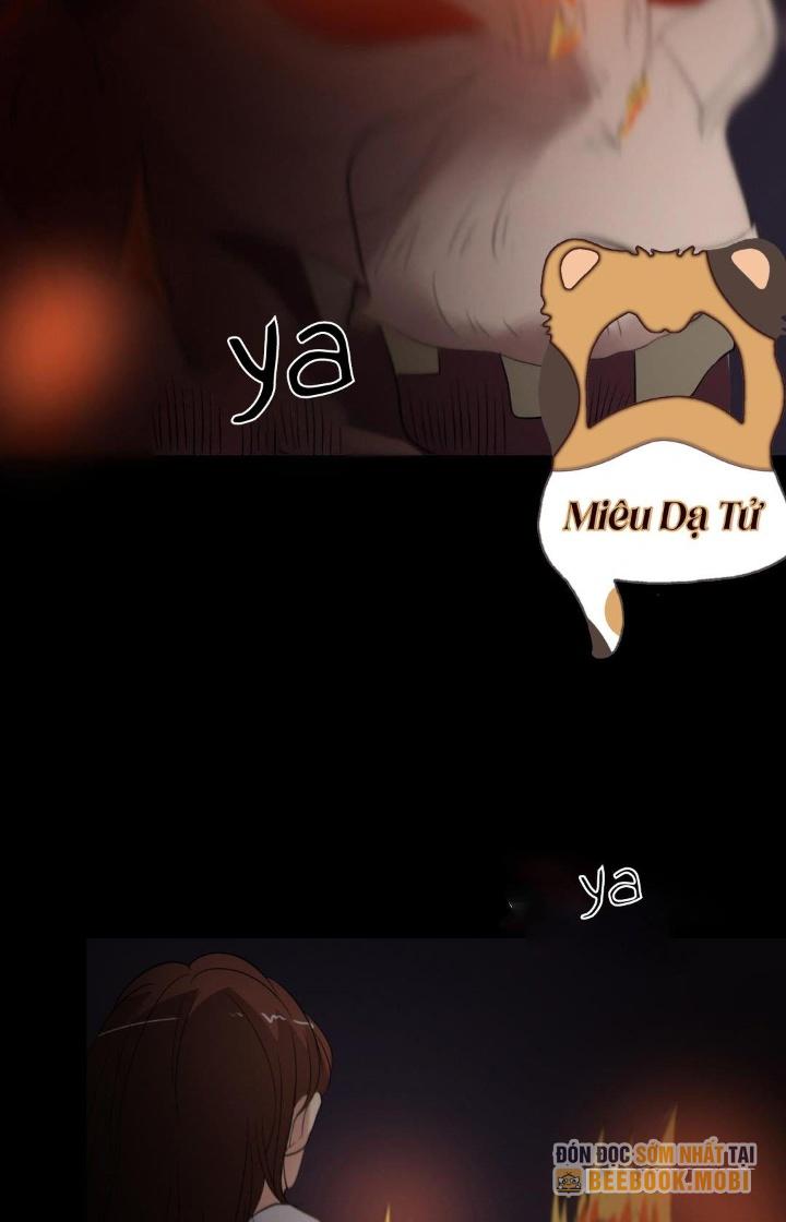 Nữ Livestream Khủng Bố Chapter 18 - Trang 2