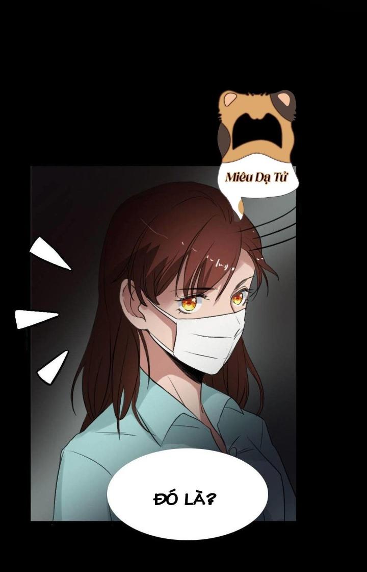 Nữ Livestream Khủng Bố Chapter 20 - Trang 2