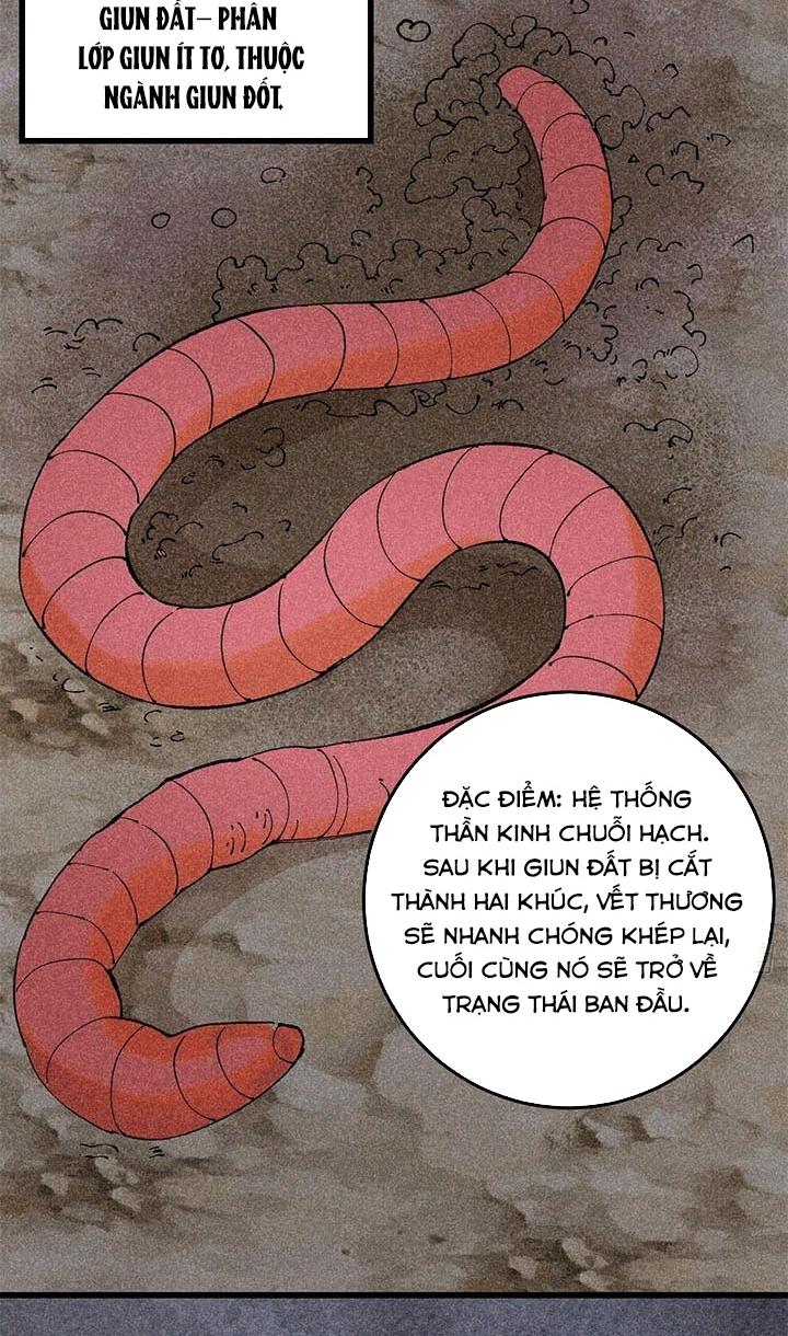 Người Chơi Hung Mãnh Chapter 93 - Trang 2