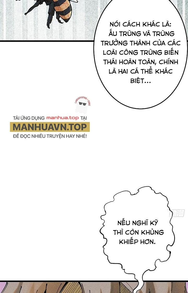 Người Chơi Hung Mãnh Chapter 93 - Trang 2
