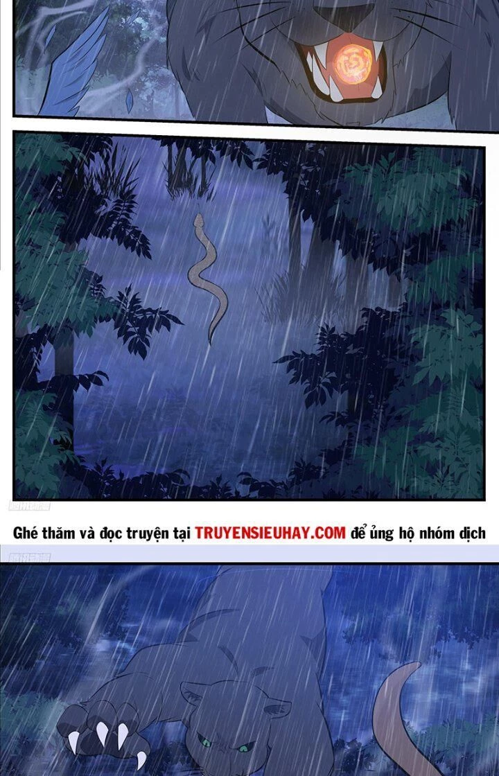 Võ Luyện Đỉnh Phong Chapter 3414 - Trang 4