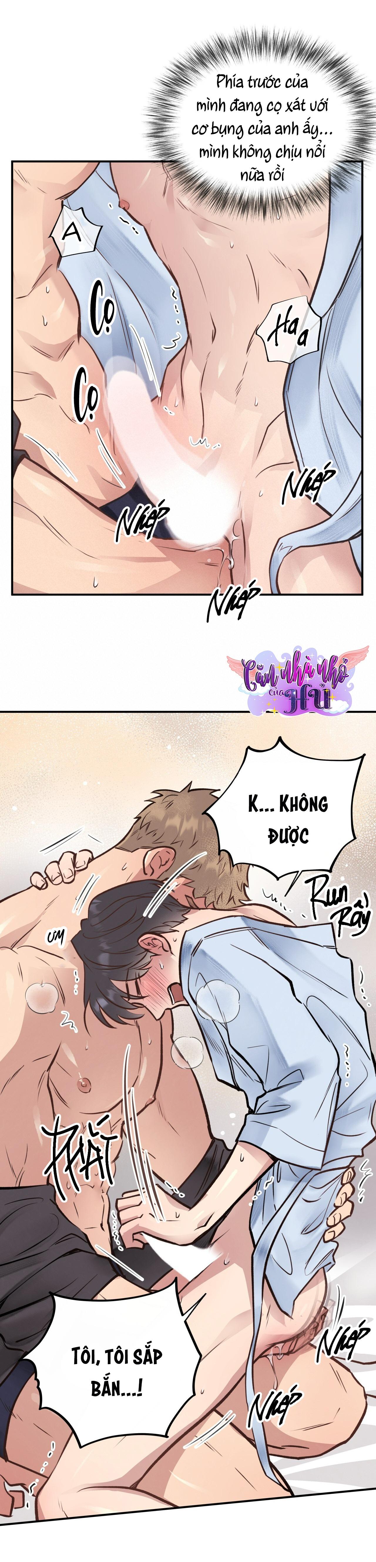 (END) MẬT GẤU Chapter 19 - Next Chapter 20