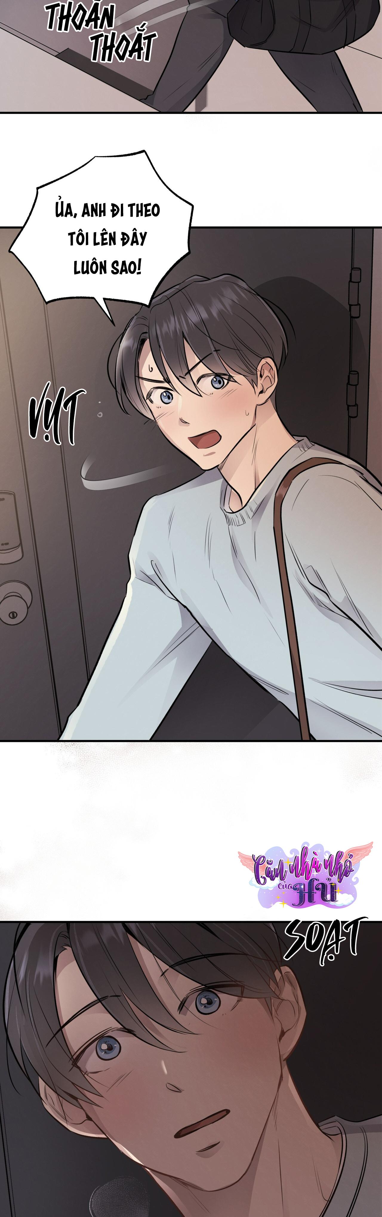 (END) MẬT GẤU Chapter 17 - Next Chapter 18