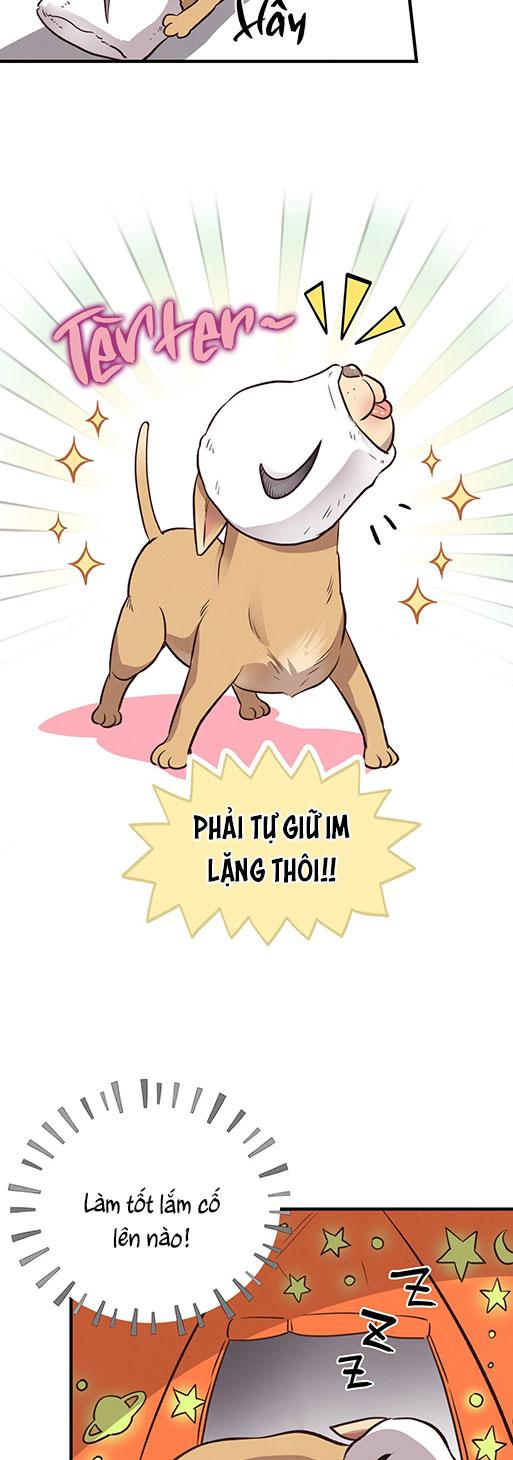 (END) MẬT GẤU Chapter 26 - Next Chapter 27