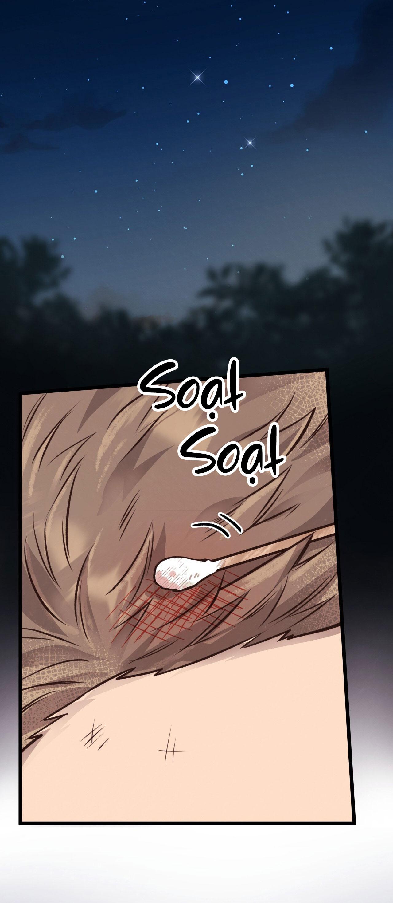 (END) MẬT GẤU Chapter 25 - Next Chapter 26