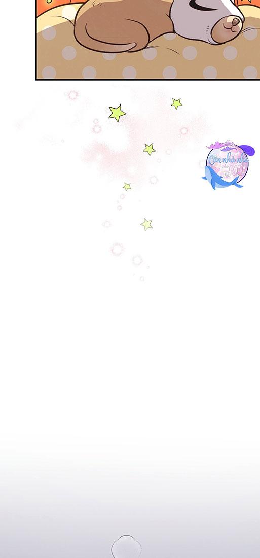 (END) MẬT GẤU Chapter 26 - Next Chapter 27