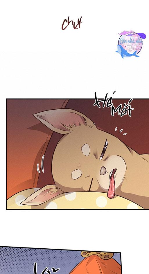 (END) MẬT GẤU Chapter 26 - Next Chapter 27