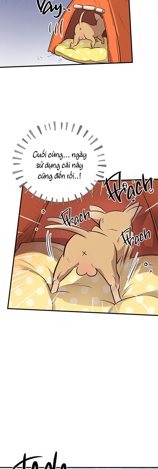 (END) MẬT GẤU Chapter 26 - Next Chapter 27