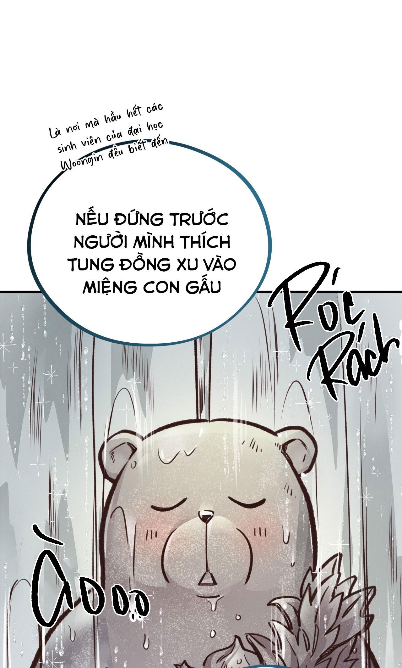 (END) MẬT GẤU Chapter 26 - Next Chapter 27