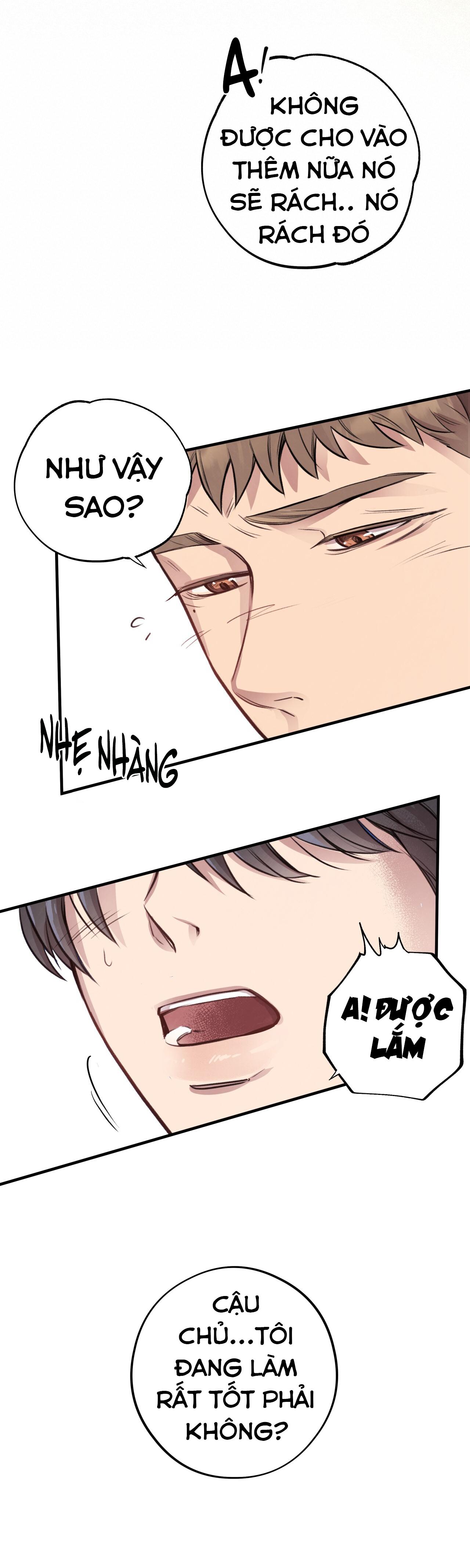 (END) MẬT GẤU Chapter 7 - Next Chapter 8