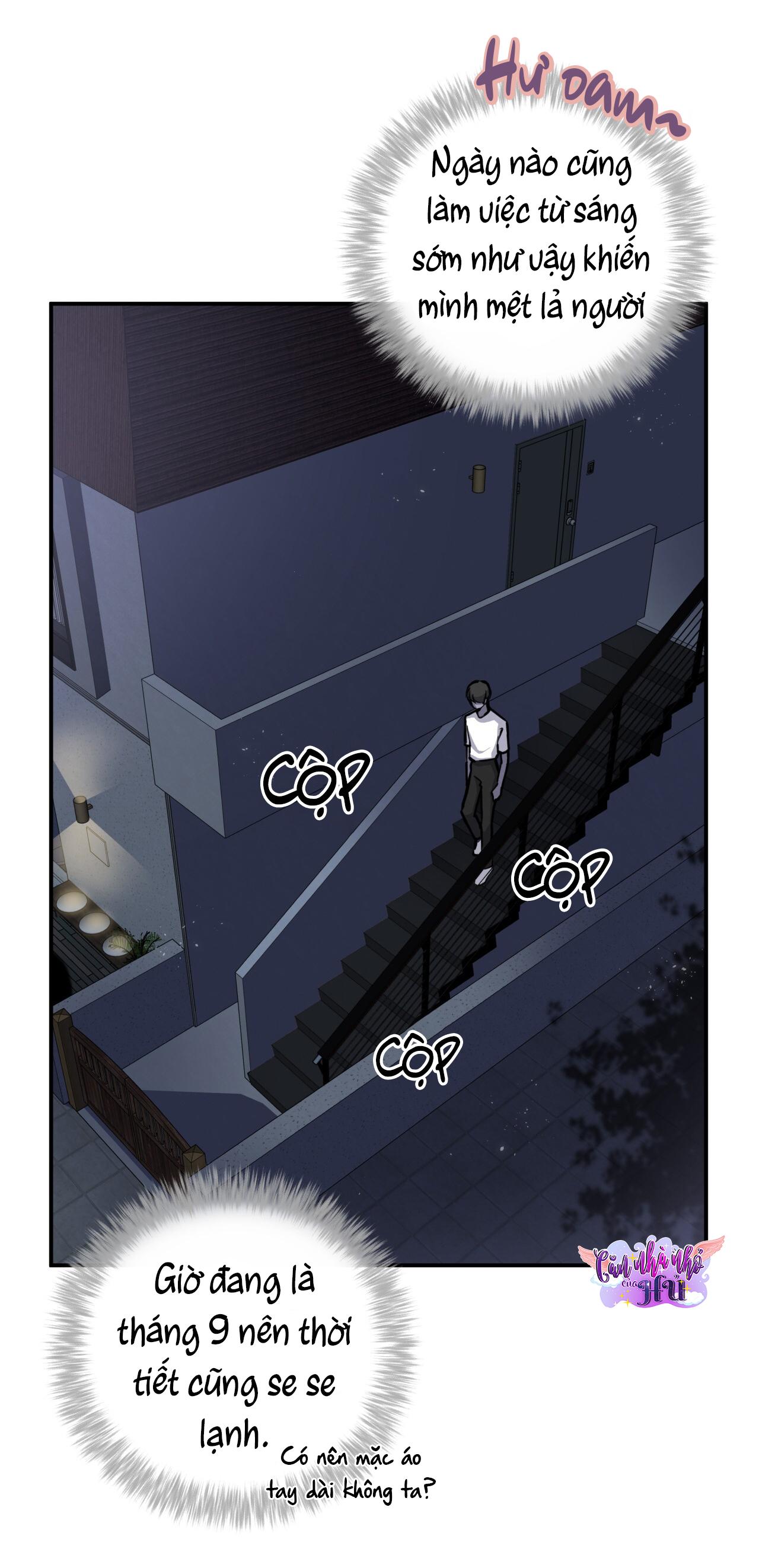 (END) MẬT GẤU Chapter 11 - Next Chapter 12