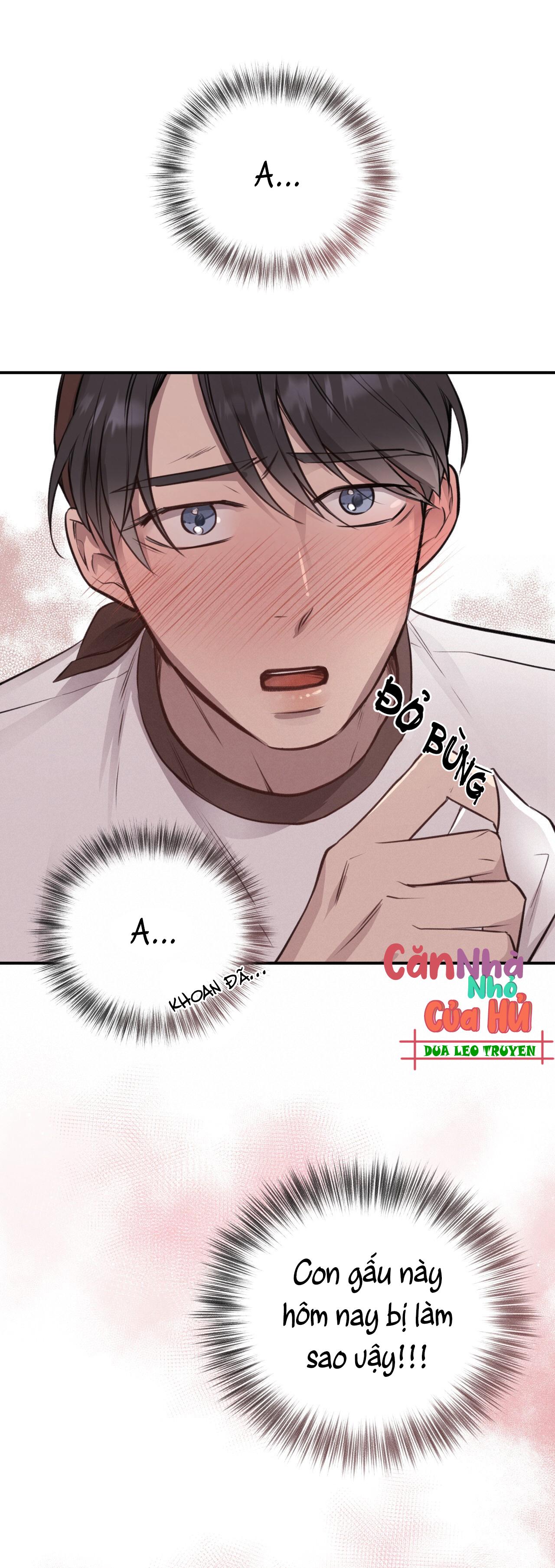 (END) MẬT GẤU Chapter 8 - Next Chapter 9