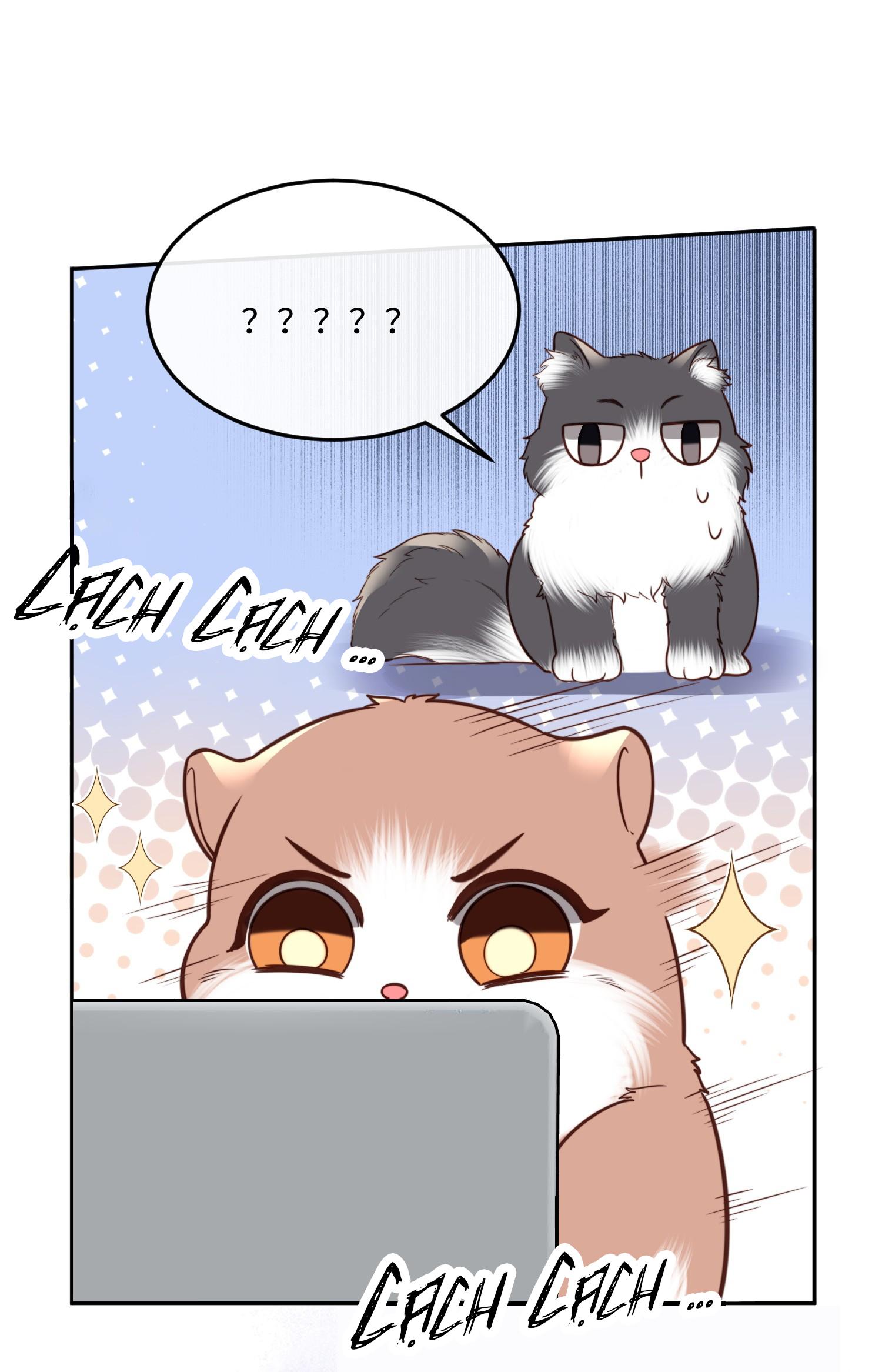 (END) Đặc Chế Cho Riêng Anh Chapter 44 - Trang 2