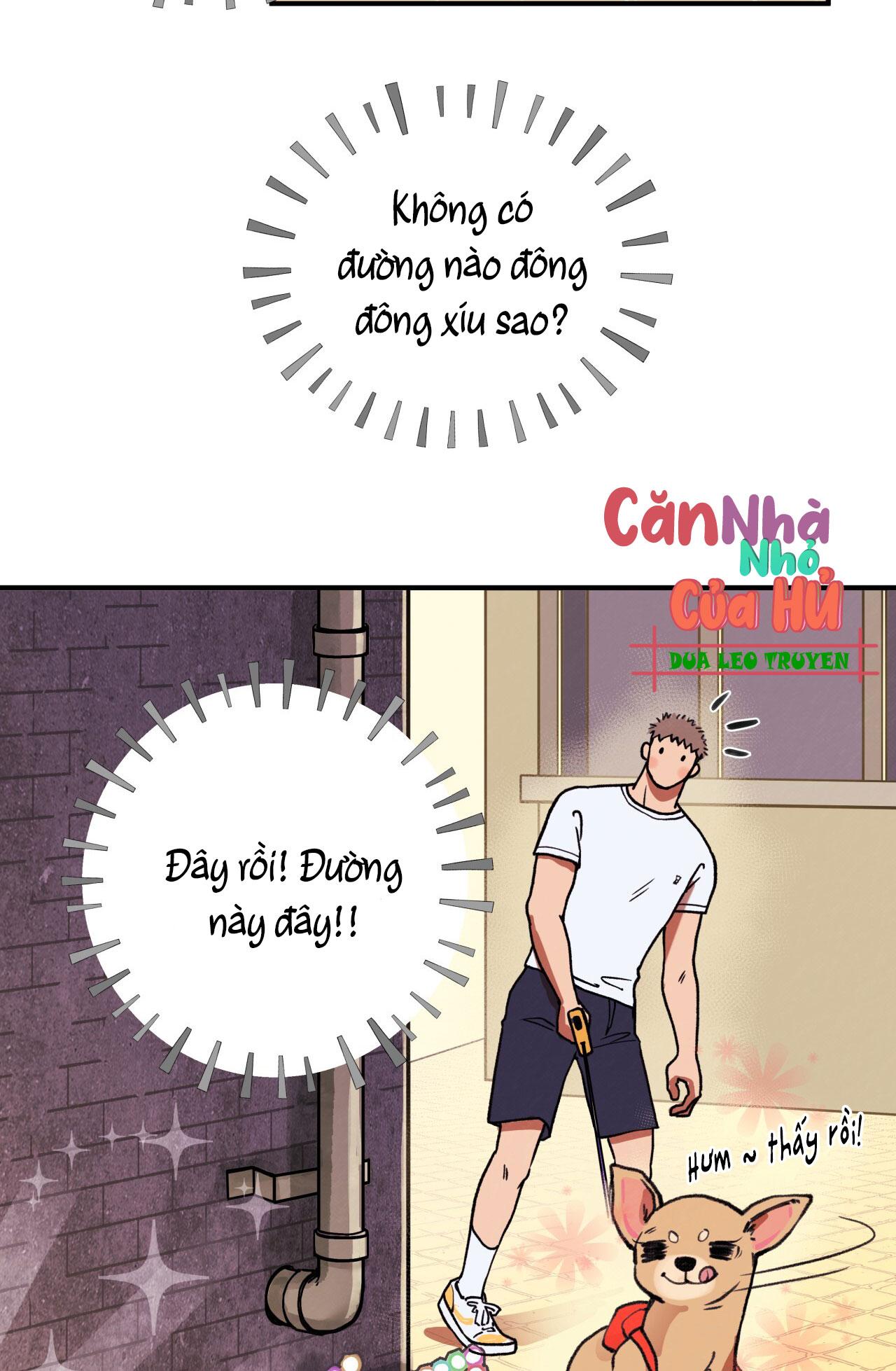 (END) MẬT GẤU Chapter 1 - Next Chapter 2