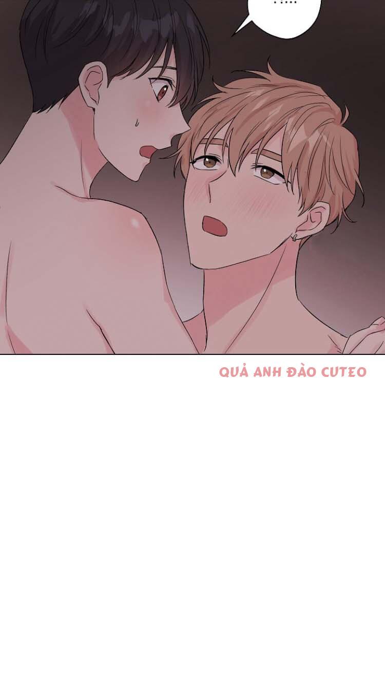 BOYLOVE FULL MÀU Chapter 3.4 - Trang 2