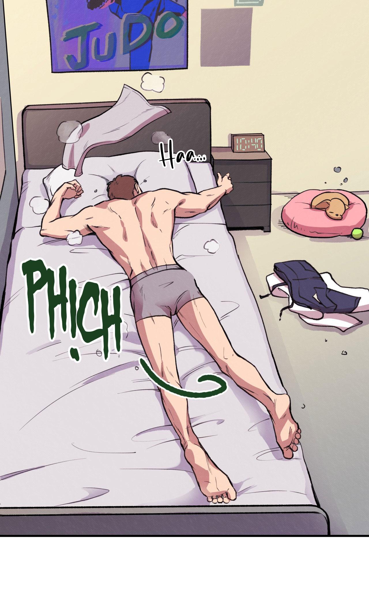 (END) MẬT GẤU Chapter 1 - Next Chapter 2