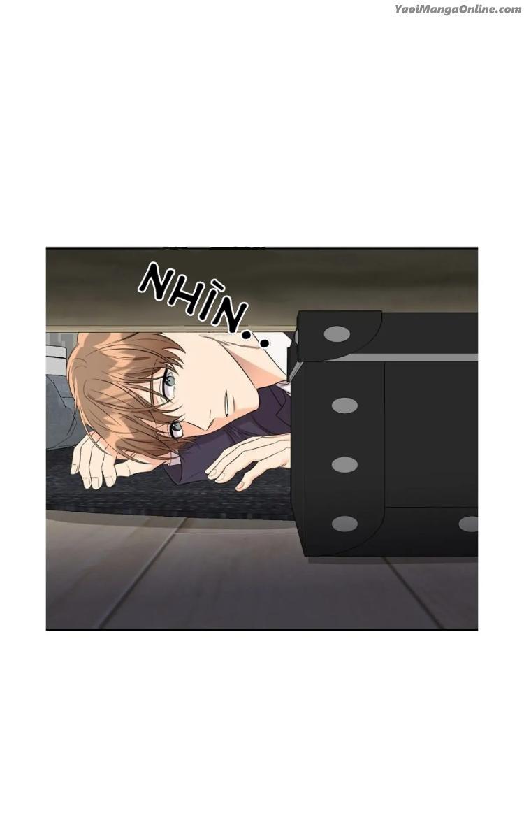 Tuyển tập BOYLOVE màu sắc Chapter 7.1 bộ đồ lót bò - Trang 2