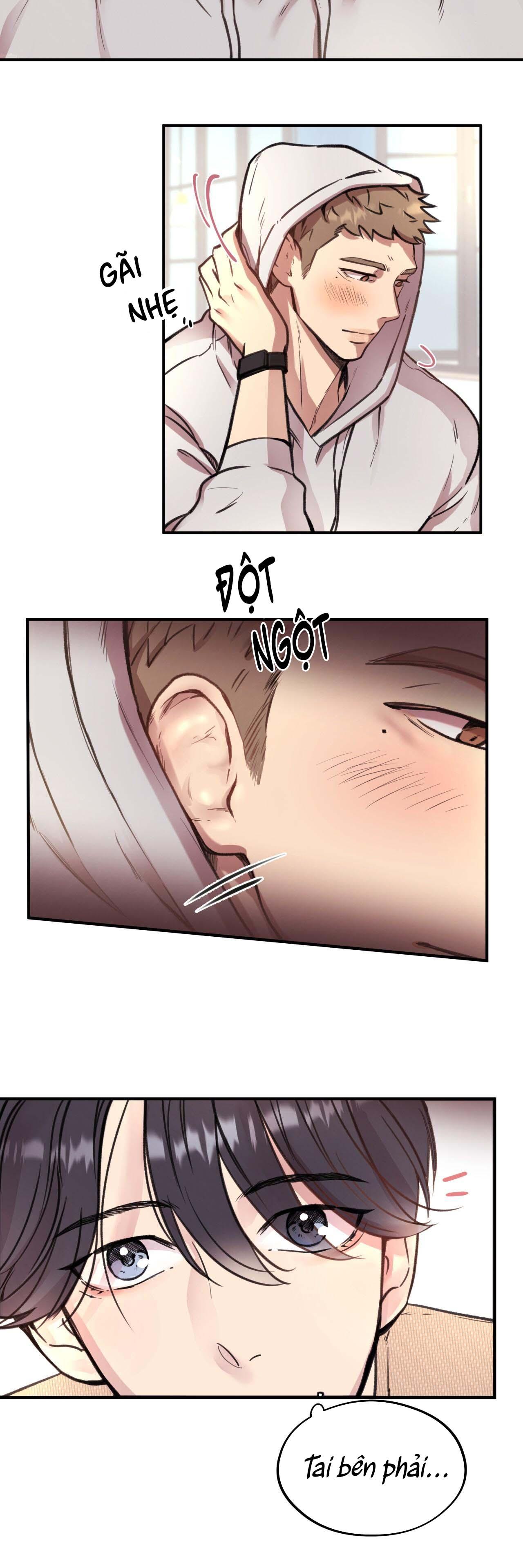 (END) MẬT GẤU Chapter 3 - Next Chapter 4