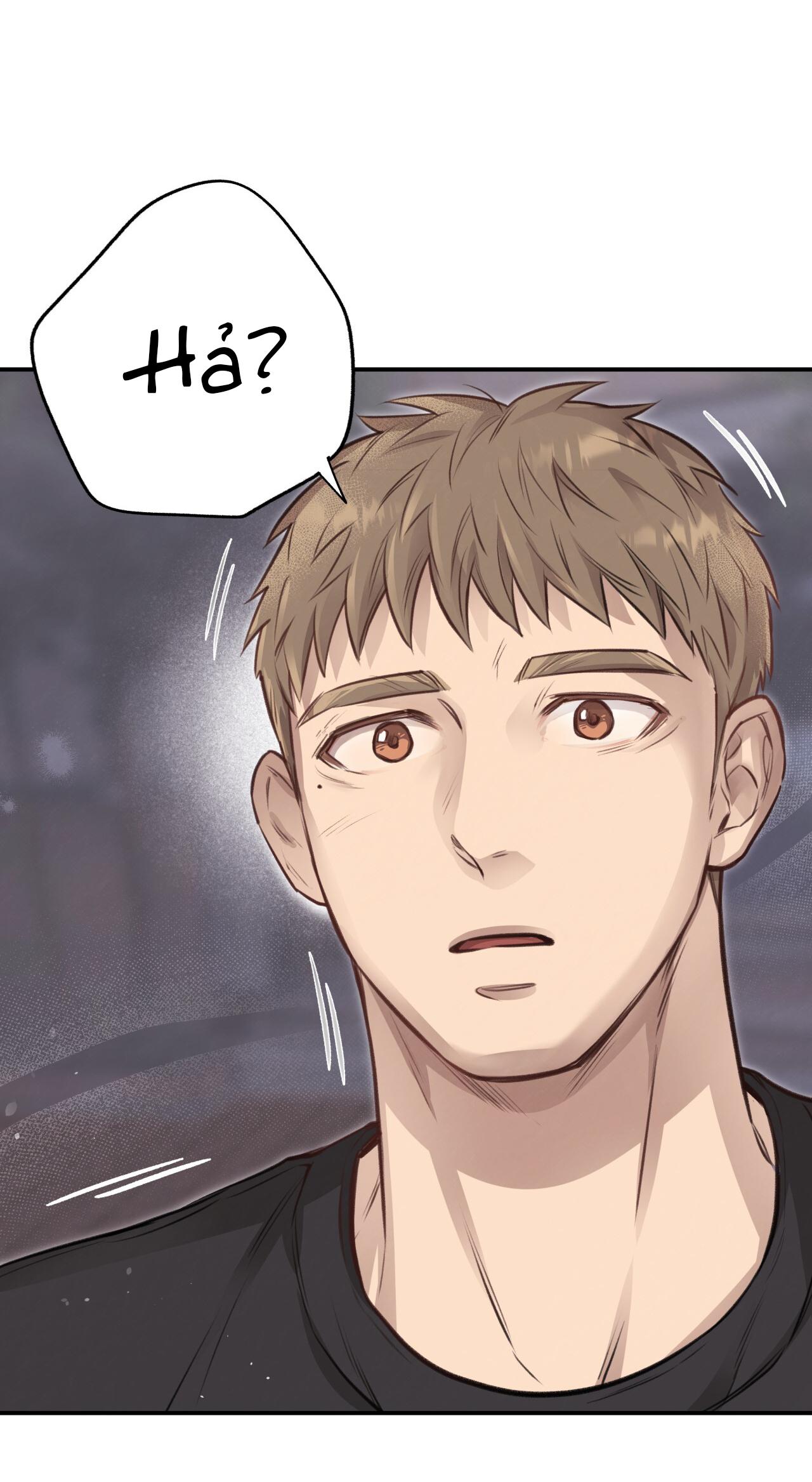 (END) MẬT GẤU Chapter 10 - Next Chapter 11