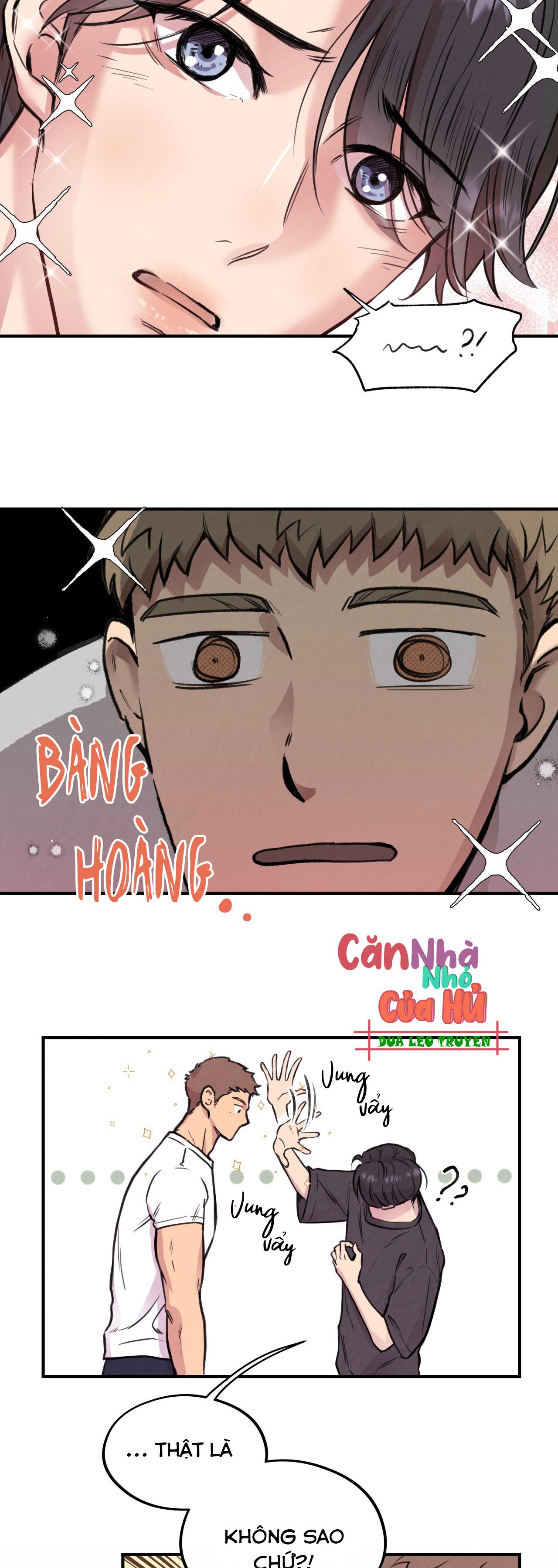 (END) MẬT GẤU Chapter 1 - Next Chapter 2