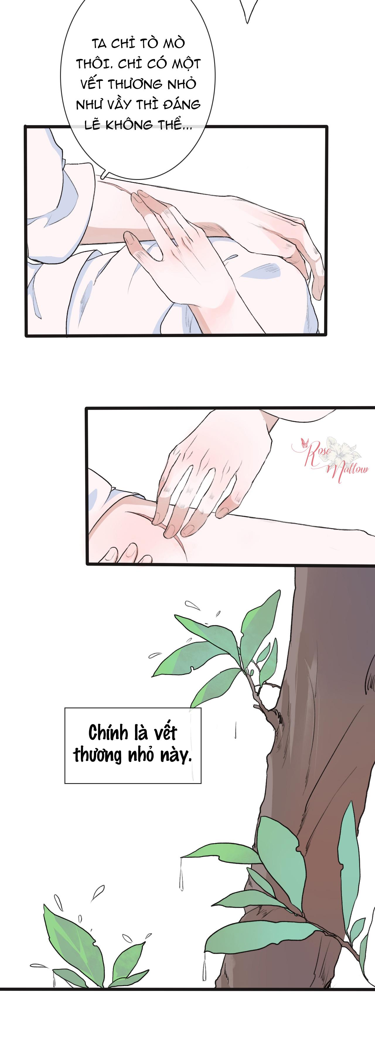 Hạnh Lâm Phương Hoa Chapter 10 - Trang 4