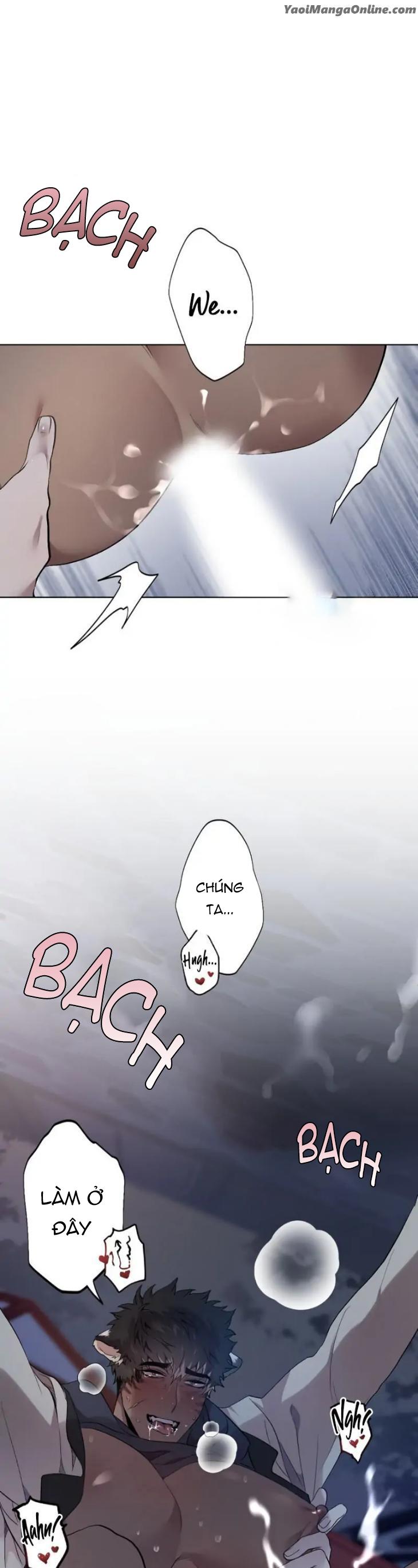 Tuyển tập BOYLOVE màu sắc Chapter 8.1 Người sói - Trang 2