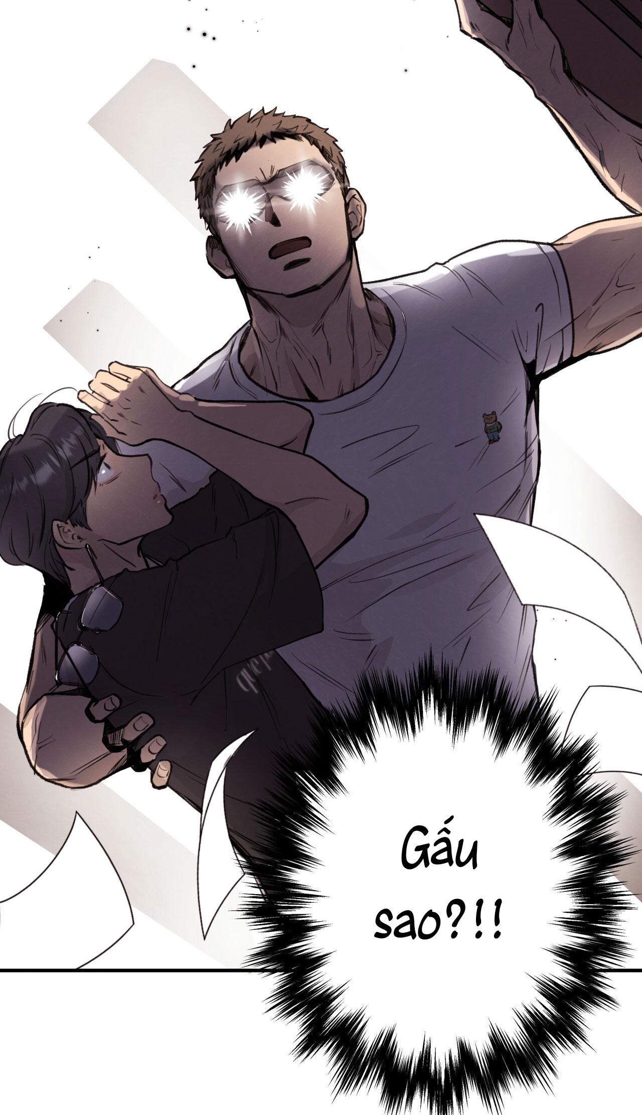 (END) MẬT GẤU Chapter 1 - Next Chapter 2